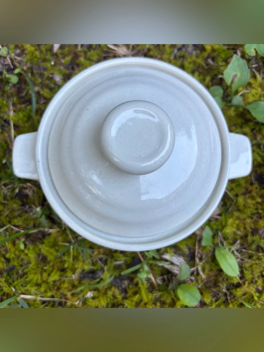 Vintage 1980 Heavenly Bake, Serve 'n Store Stoneware Dishes with Lids - Set of 2